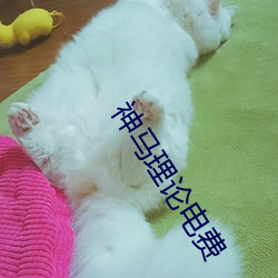918博天堂·(中国)手机版客户端