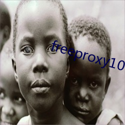 freeproxy100%