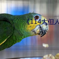 《114大但人文艺术》