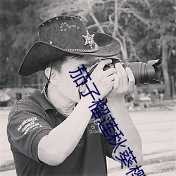 茄(茄)子(子)榴(榴)莲秋(秋)葵樱桃(桃)