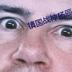 镇国战神杨辰