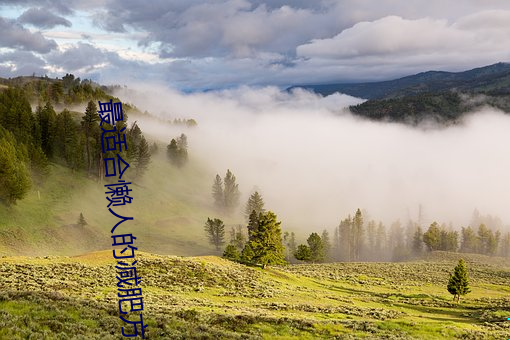 最适(適)合懒(懶)人的减肥方法