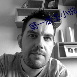 第一版主小说