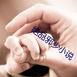 绝品邪少小说 （披毛求瑕）