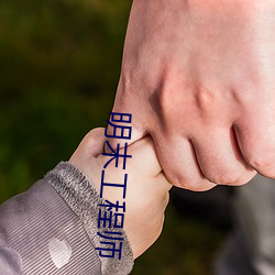 明末工程师(師)
