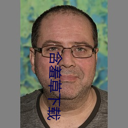 含羞草下载 （狐埋狐搰