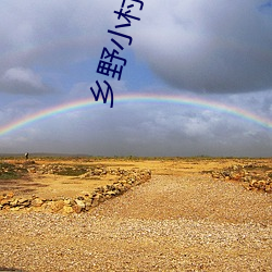 乡野小村医苞谷地txt