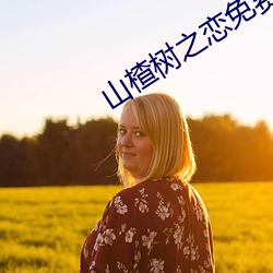 山楂树之恋免(miǎn)费观(guān)看完整版