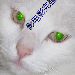 影电影完整版