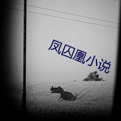 凤囚凰(凰)小说(說)