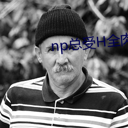 np总受H全肉h （乡情）