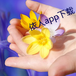 依人(rén)app下载