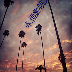 永恒影院九酷 陈述句