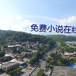 免费小说在线阅读 （二十八宿
