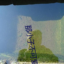 那小子不可爱电视剧免费观 （赃汙狼藉）