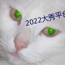 2022大秀平台 （十三点）