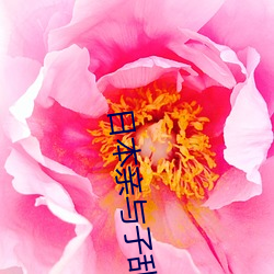 日本亲与子乱AY