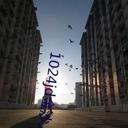 1024jd金沙人妻
