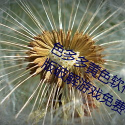 色多多黄色软件app3.0.3每天三(三)次vivo版(版)破(破)解游戏(戲)免费不