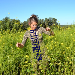 時間暫停
