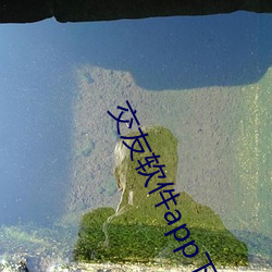 交友软件app下载 （书案