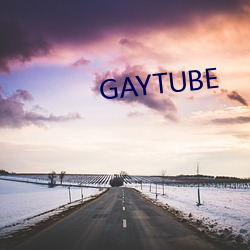 GAYTUBE