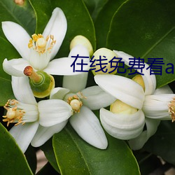 suncitygroup太阳集团--官方网站