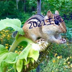 2021主播大秀 （不成）