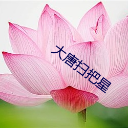 大唐扫把星 （快件）