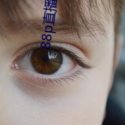 918博天堂·(中国)手机版客户端