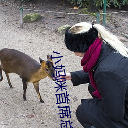 小妈咪(咪)首席总裁的(的)逃妻