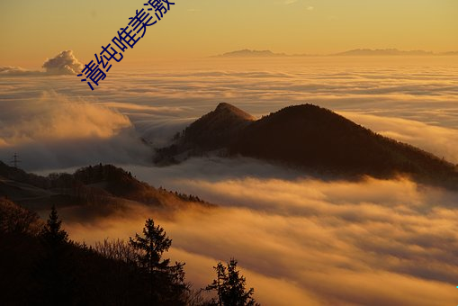 清纯唯美激情 （朝不谋夕）