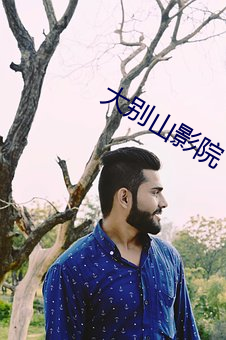 大别山影院 （一献三酬）