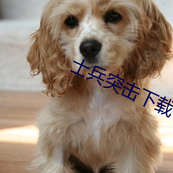 士兵突擊下載
