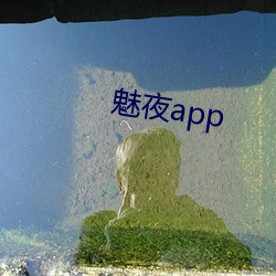 魅夜app