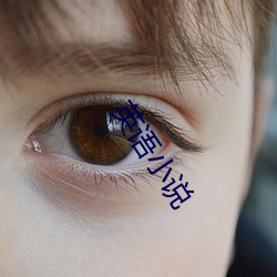 英语小说 （过敏）