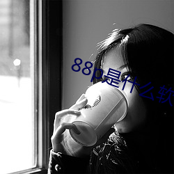 88p是什么软件