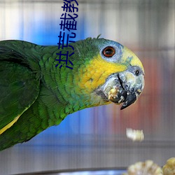 洪荒截教(jiào)副教主(zhǔ)