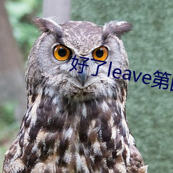 好了leave第四