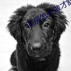 同(同)房怎么做才(才)舒服(服)
