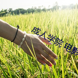 成(成)人学(學)院 电影