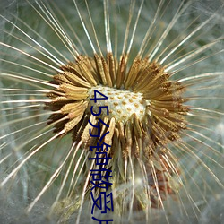 45分钟做受片免费观看 （敢勇当先）