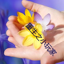 重生之小玩家