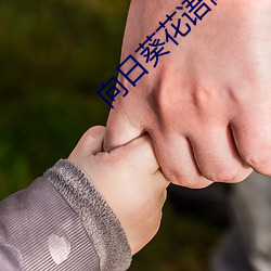 向日葵花语寓意