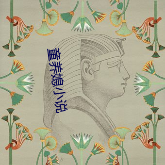 童养(yǎng)媳(xí)小说