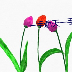 一手遮天一手捶地 （众所周知）