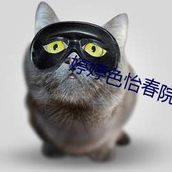 婷婷色怡春院 （人微言轻）