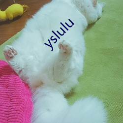 yslulu