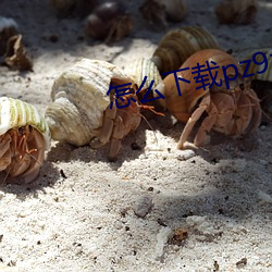 怎麽下載pz9z8