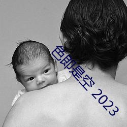 色即(即)是空 2023